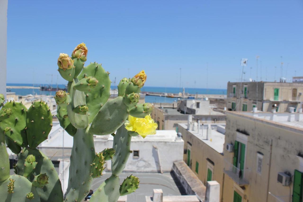 Vistafaro55 Appartement Molfetta Buitenkant foto